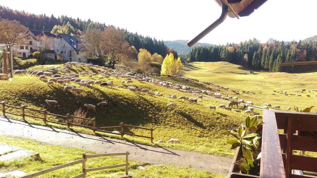 Casa Camilla Holiday Folgaria Dış mekan fotoğraf