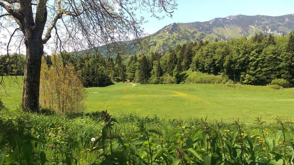 Casa Camilla Holiday Folgaria Dış mekan fotoğraf