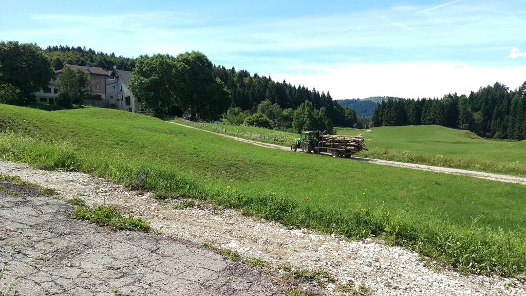 Casa Camilla Holiday Folgaria Dış mekan fotoğraf