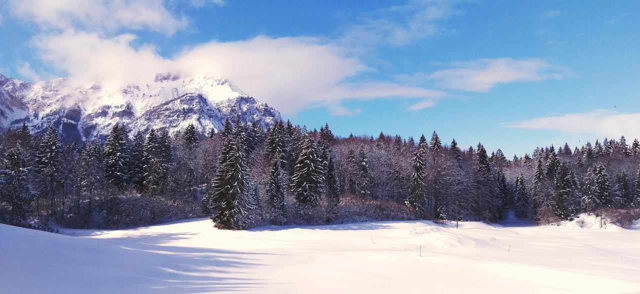 Casa Camilla Holiday Folgaria Dış mekan fotoğraf