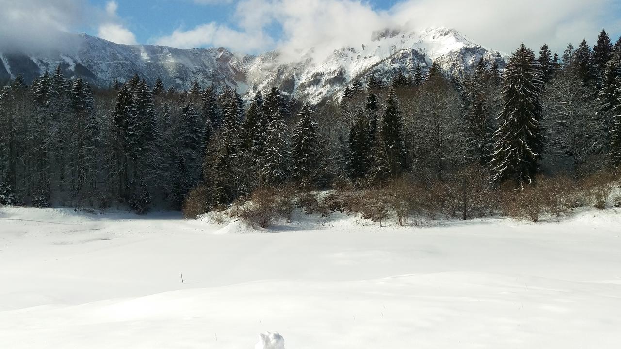 Casa Camilla Holiday Folgaria Dış mekan fotoğraf